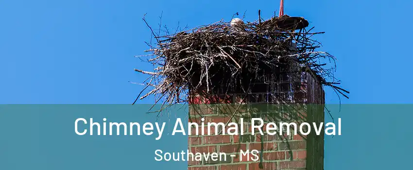 Chimney Animal Removal Southaven - MS