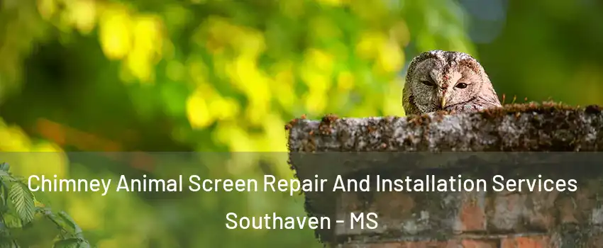  Chimney Animal Screen Repair And Installation Services Southaven - MS