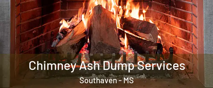  Chimney Ash Dump Services Southaven - MS
