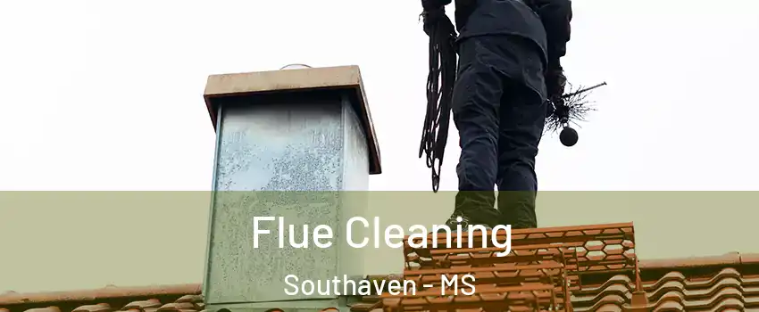  Flue Cleaning Southaven - MS