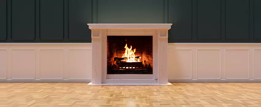 Napoleon Electric Fireplaces Inspection Service in Southaven, Mississippi