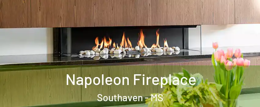  Napoleon Fireplace Southaven - MS